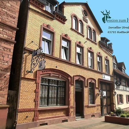 Hotel-Pension Zum Hirsch Hattersheim am Main Екстер'єр фото