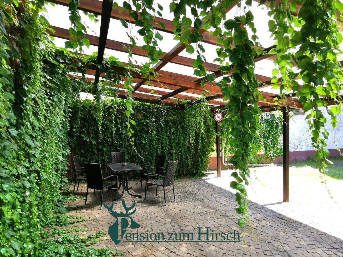 Hotel-Pension Zum Hirsch Hattersheim am Main Екстер'єр фото